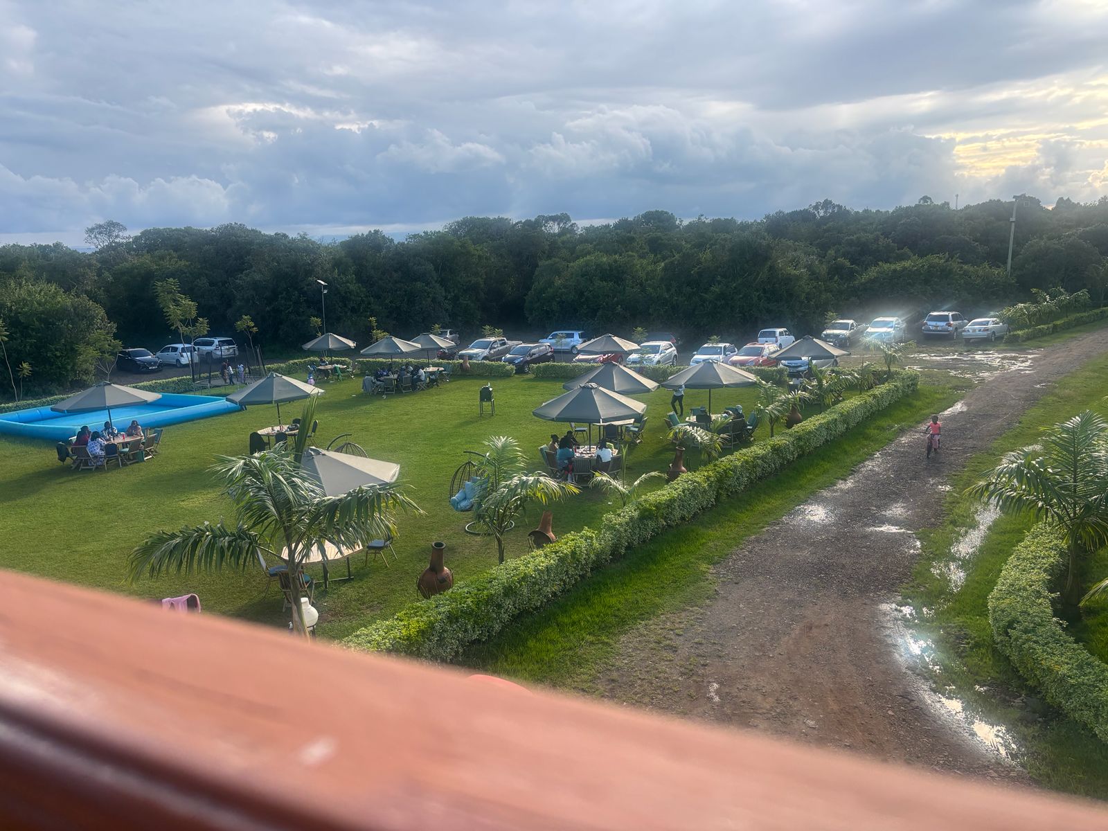 Outdoor garden activities for events